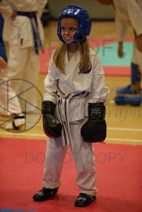 South East Open Karate